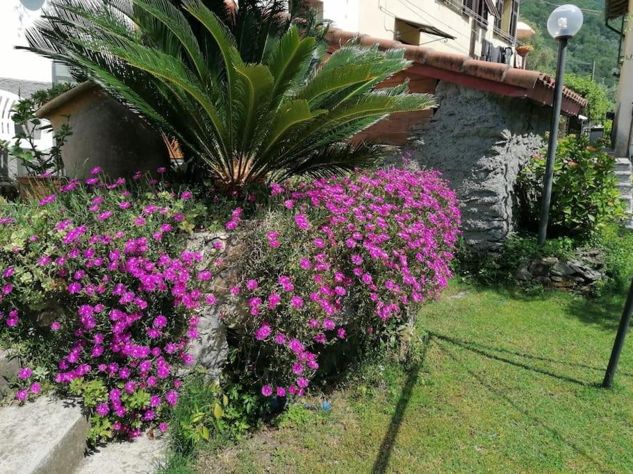 Vila Casa Andreina Salto Chiesa Exteriér fotografie